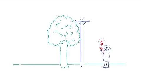 Tree management around the power network