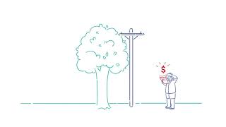Tree management around the power network