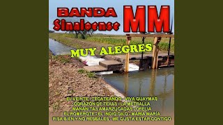 Video thumbnail of "Banda Sinaloense MM - La Metralla"