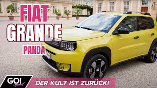 So sieht der neue Grande Panda aus - Fiat bringt Kult zurück - GO! Spezial Der Fiat Panda Im Test
