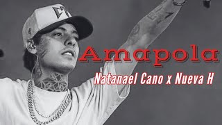 AMAPOLA - Natanael Cano x Nueva H (Video Lyric Oficial)