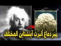 اللغز الذي حي ر العلماء لماذا دماغ ألبرت آينشتاين مختلف عن باقي البشر