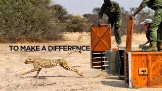 CCF PSA in partnership with Cheetah Mobile