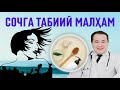 СОЧНИ ТЕЗ ЎСТИРИШ ВА МУСТАҲКАМЛИГИГА МАЛҲАМ