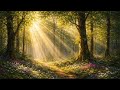 Golden Sunbeams Through Enchanted Forest | Spring Serenity | 4K Frame TV Art