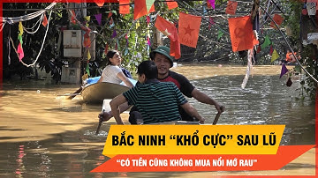 Hàng ngàn hộ dân Bắc Ninh chìm trong biển lũ, khan hiếm lương thực nghiêm trọng  | Thời sự