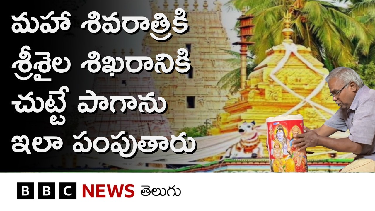 మహా శివరాత్రికి శ్రీశైల శిఖరానికి చుట్టే పాగాలను నేసేది వీరే.. ఈ పాగాల ప్రత్యేకత ఏంటంటే.. BBC Telugu
