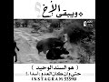 ويبقى الاخ سند وقت الشده