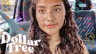 VISITING A SKETCHY DOLLAR TREE IN SAN DIEGO CALIFORNIA