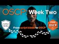 OSCP Update, Week Two!