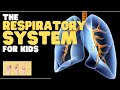 Respiratory System Concepts