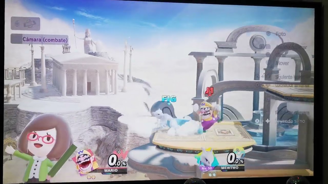 SSBU Wario vs Mewtwo 