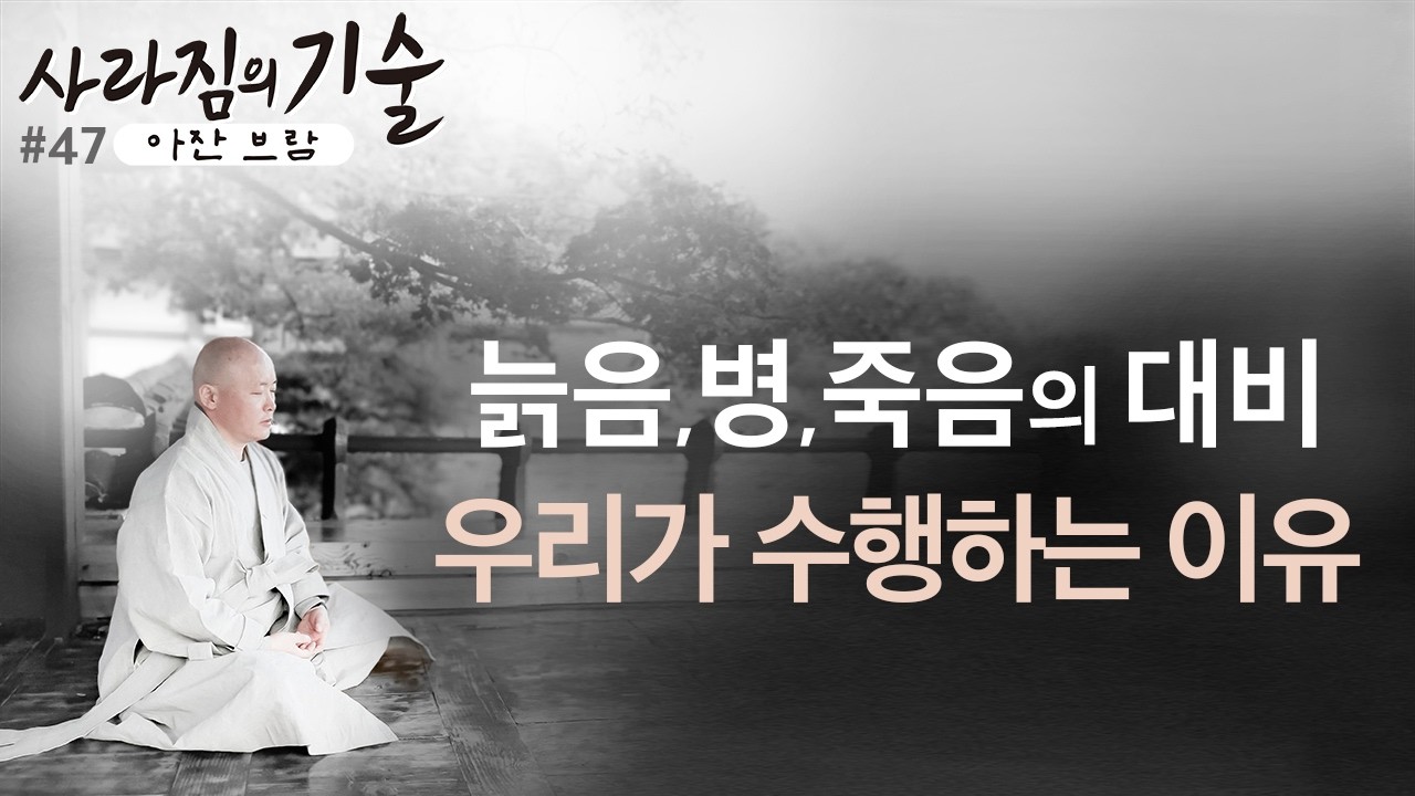힘듬, 늙음, 병, 죽음의 큰 파도를 넘는 법ㅣ우리가 수행하는 이유ㅣ47강ㅣ혜안스님