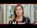 التفاح الحرام الحلقة ال 43 Arabic Dubbed HD 