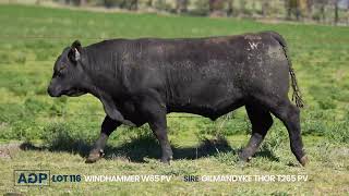 Lot 116