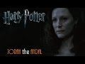 Harry Potter Lily S Theme Suite 