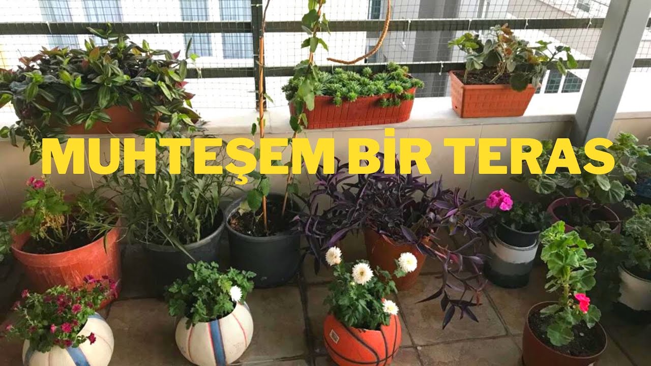 AYŞE HANIM'IN FİKİR ALABİLECEĞİNİZ MUHTEŞEM TERASI