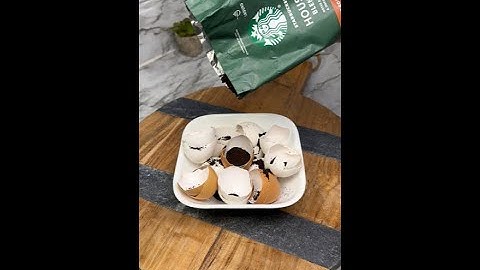 This Coffee and Eggshell Garden Hack Made My Plants EXPLODE!