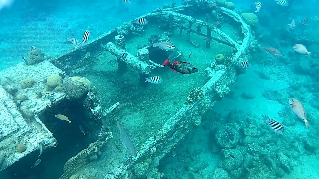 SNORKELING AROUND THE SHIPWRECK TUGBOAT BEACH CURAÇAO ATTRACTION