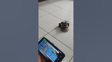 Carrinho controlado pelo celular com JDY-31 BLUETOOTH #educação #robotica #robotics