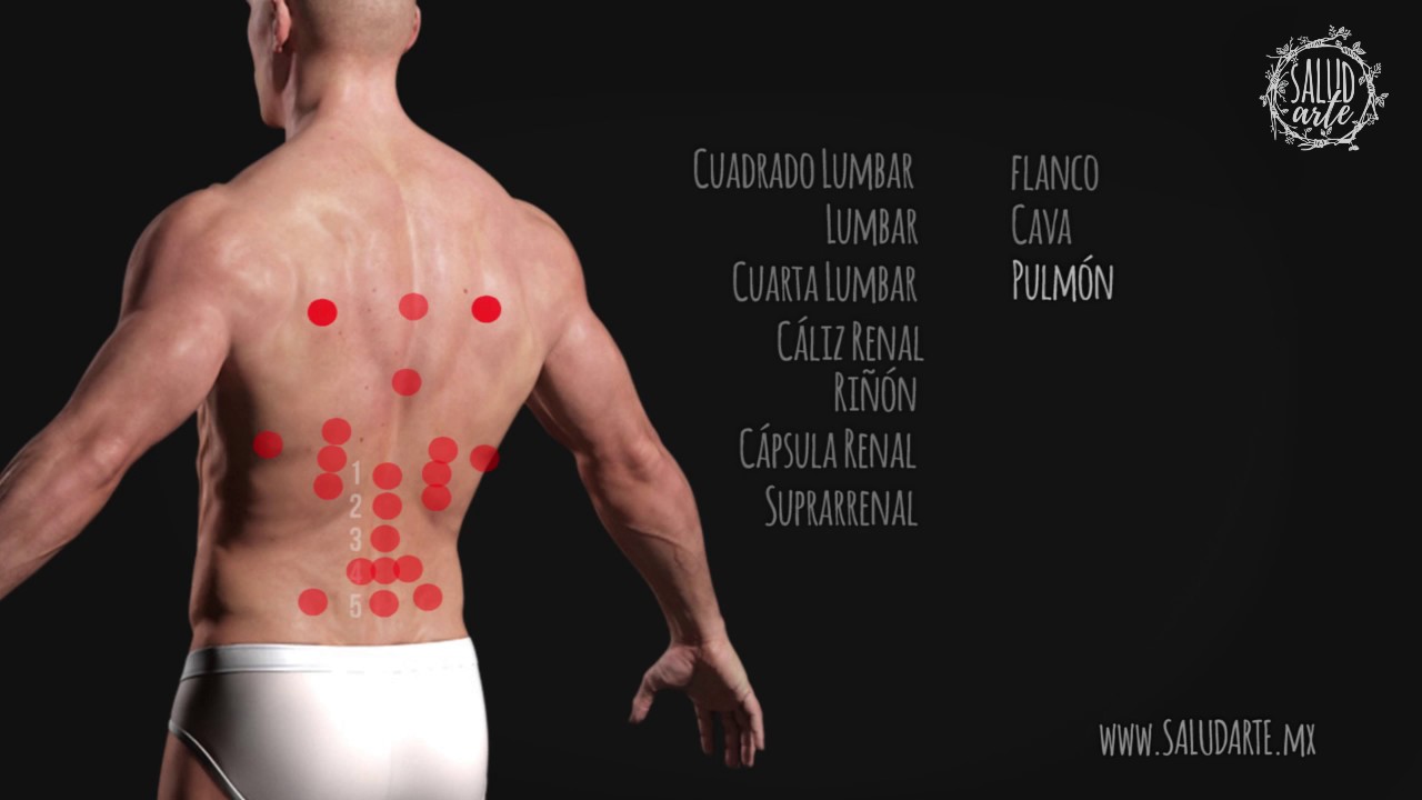 BIOMAGNETISMO - Puntos de rastreo - Espalda y brazos - YouTube