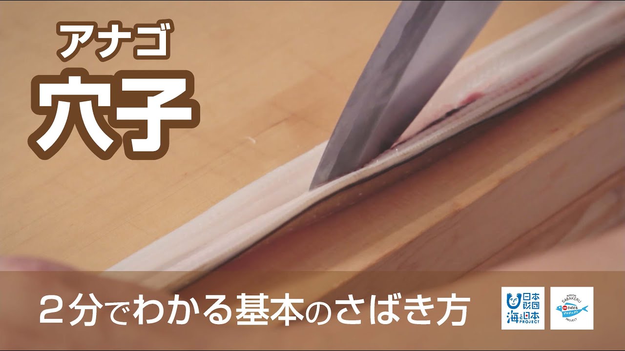 クロアナゴ 黒穴子 魚図鑑 釣りの総合情報サイト ツリホウ 釣報