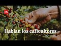 ¿Cómo se afectó la región cafetera por el conflicto armado?