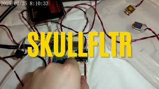 Digital Electronics Final Project: skullFltr