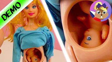 Jak se jmenuje těhotná panenka Barbie?