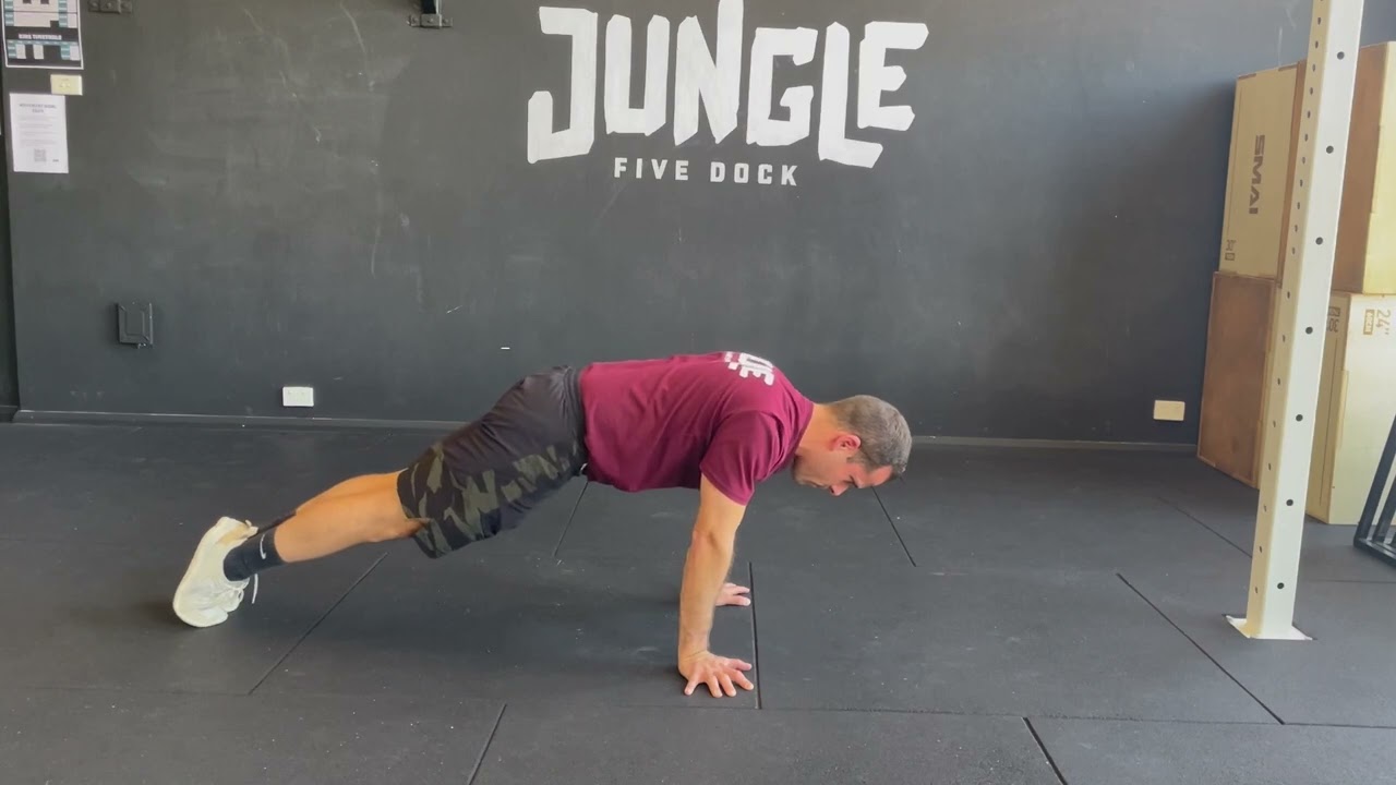 Scapula Push Up