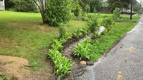 Bioswale designed by SMPIL