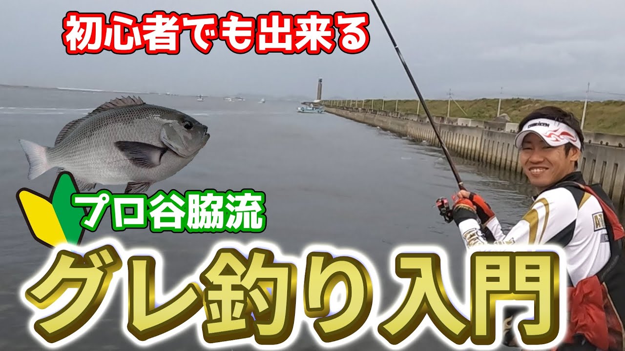 グレ釣り初心者向け！プロに教わる、最も分かりやすいグレ釣り講座！【波止グレ】