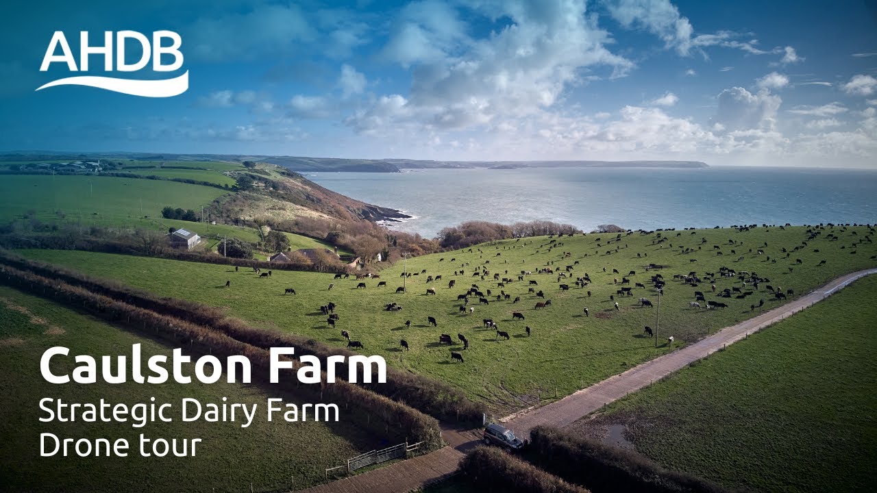 Drone Tour: Strategic Dairy Farm Caulston | AHDB