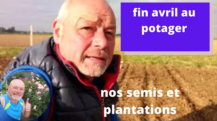 Nos semis et plantations :fin avril au jardin
