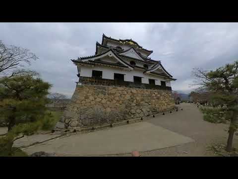 Hikone Castle, Shiga Prefecture, Japan. Mar 2020. Day 1 of out 6 day trip.