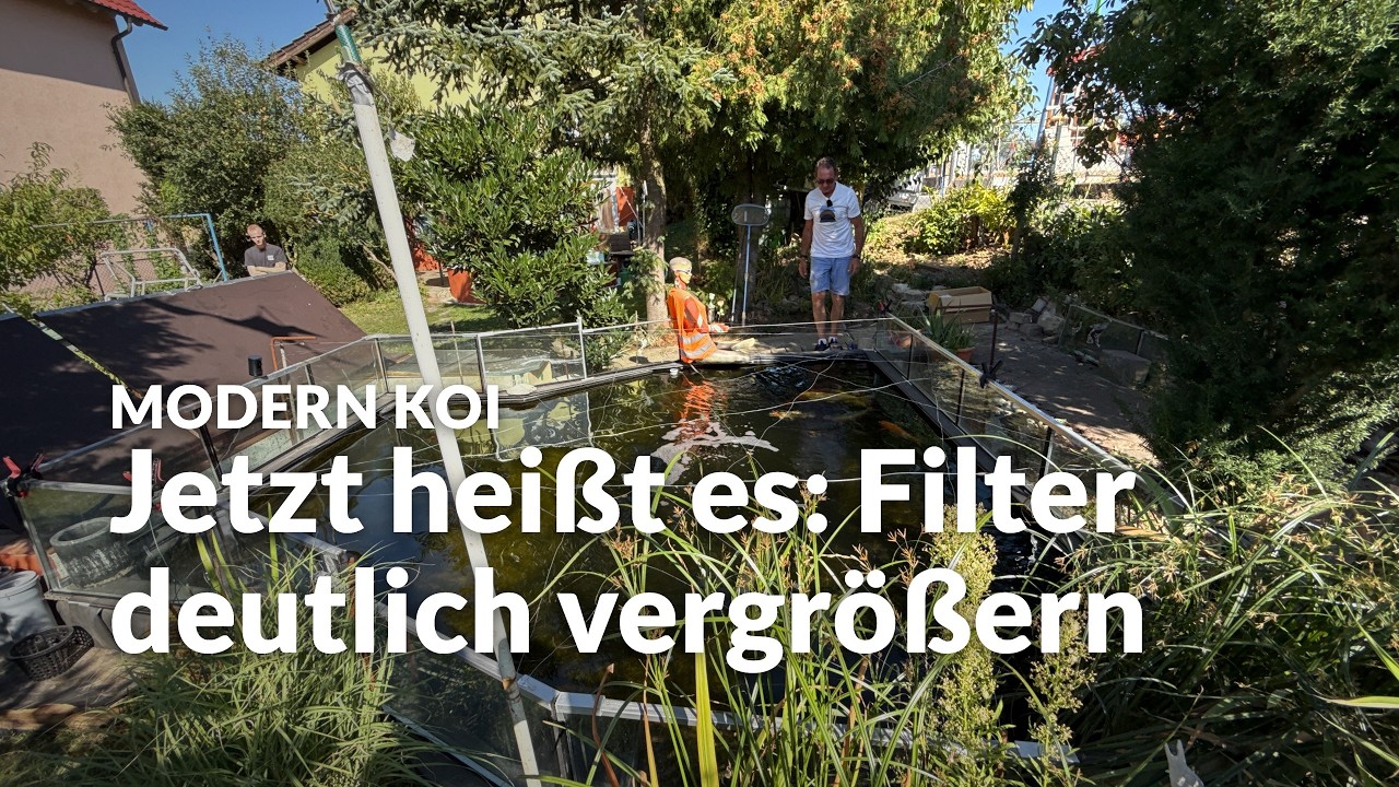 Eine Wasseranalyse an Lothars Koiteich | Modern Koi Blog #8243
