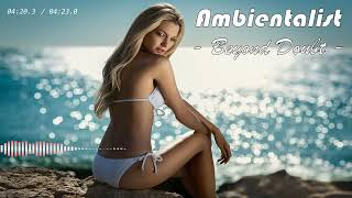 The Ambientalist - 