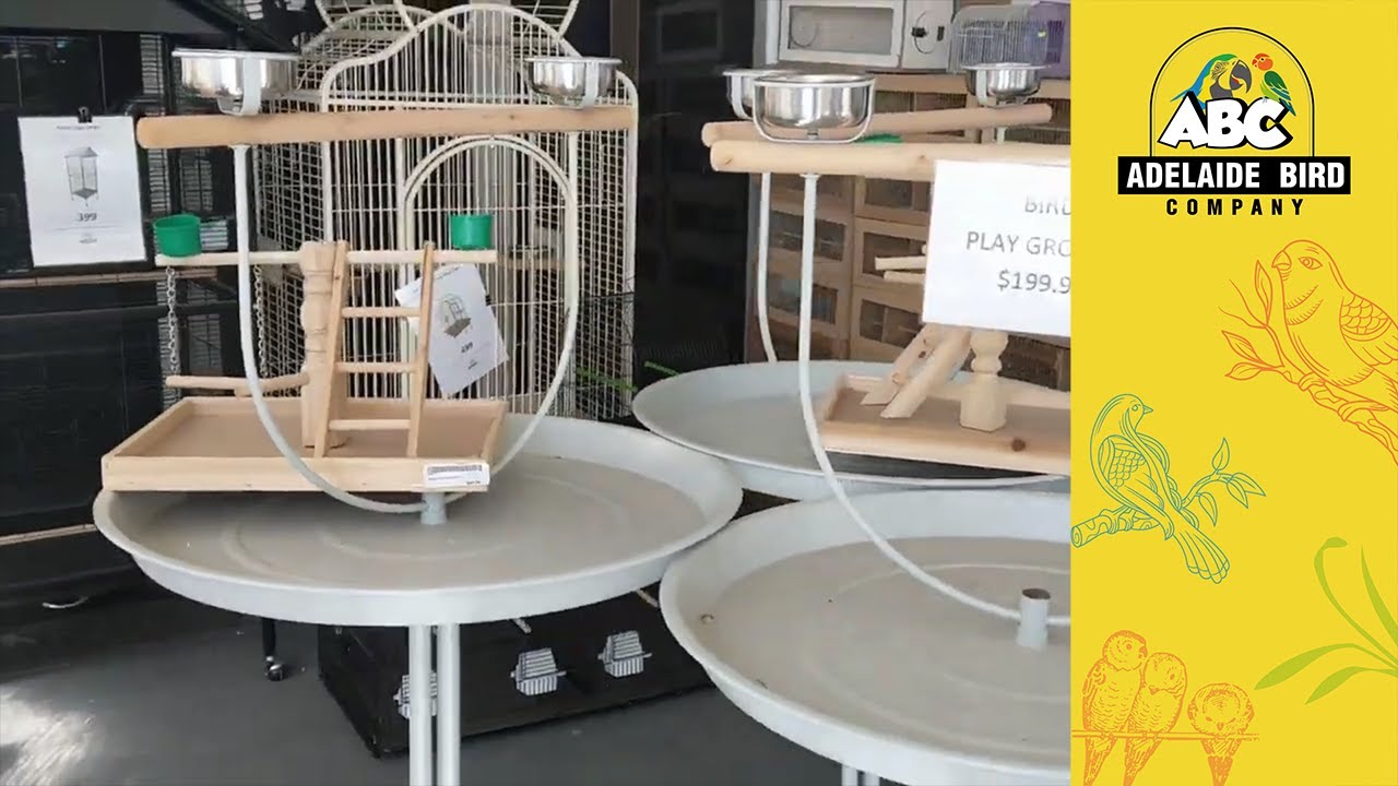 Image showcasing Hahns Macaw Adelaide | Bird Cage and Accessories | Adelaide Bird Co ...