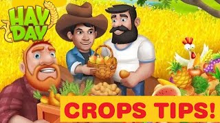 Hay Day Crops: Tips & Tricks!