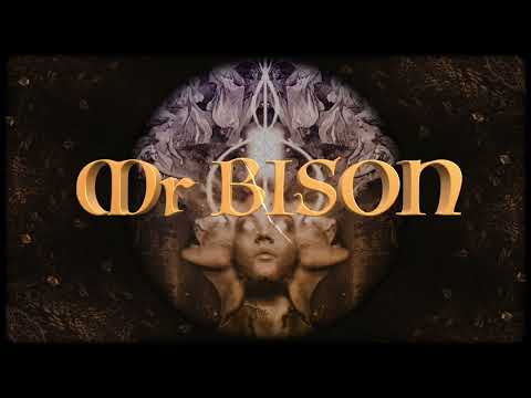 MR.BISON - Child Of The Night Sky // HEAVY PSYCH SOUNDS RECORDS