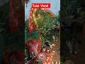 Tulsi Vivah ki Hardik shubhkamnaye #shortsfeed #shorts #short
