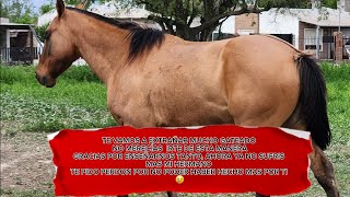 🔞😔😭 "EL PEOR MOMENTO PARA EL ABUELO MAS CAMPERO Y SU FAMILIA, " NO ESPERABAMOS  ESTO "🐴😭 💔