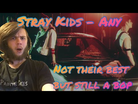 Stray Kids "아니 (Any)" Video | REACTION!!