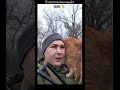 Кот (подпишитесь пожалуйста)