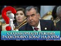 САҲНАКОРИҲОИ РЕЖИМИ ЭМОМАЛИРО БОВАР НАДОРЕМ