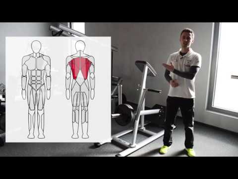 T-Bar Rudern am Gerät richtig ausgeführt - Tutorial Kebugaran