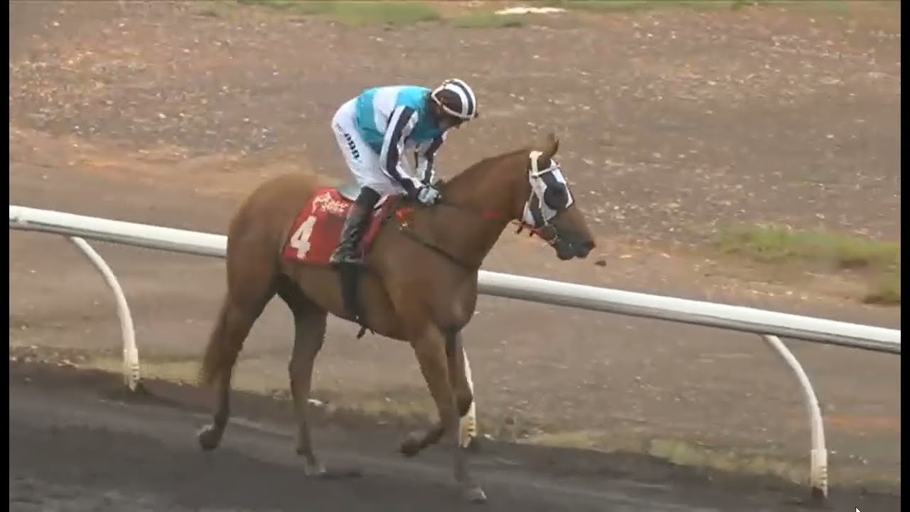 Гонка 6 - Дарвин, Австралия, 31 января 2026 г.