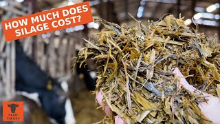 How MUCH does it COST to make 1 TON of SILAGE??
