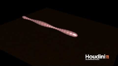 Procedural Worm