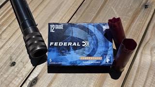 Federal Power-Shok 12ga 3" 41 Pellet 4 Buck Test W/ Mossberg 500 & C-Lect Choke